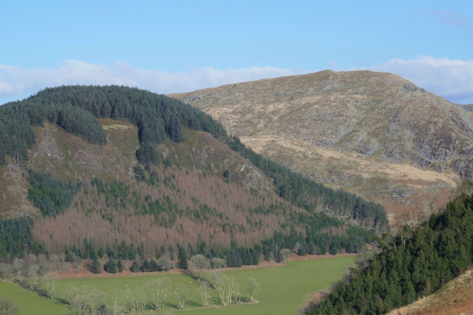 RachelSeabrook.net | Wild Walking | Cwm Cyneiniog and Craig y Pistyll | pic47